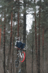 tn_img_3917_sm.gif