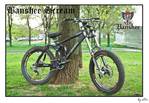 banshee_bikes_scream_sl1m.JPG
