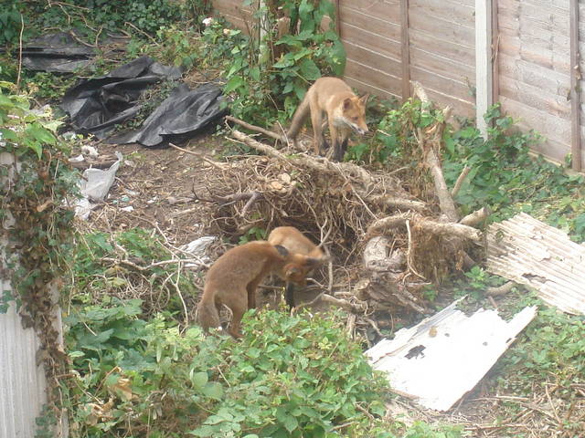 �������, ����� ���������� � ������ ������