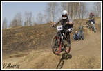 Img1441_copy.jpg