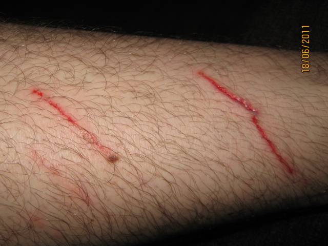 �������, ����� ���������� � ������ ������