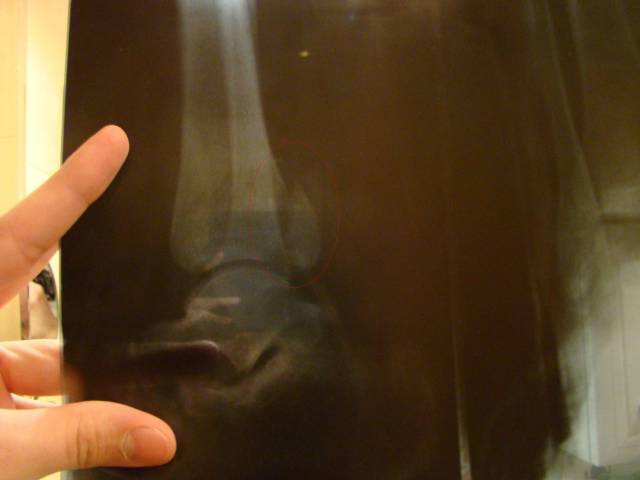 �������, ����� ���������� � ������ ������