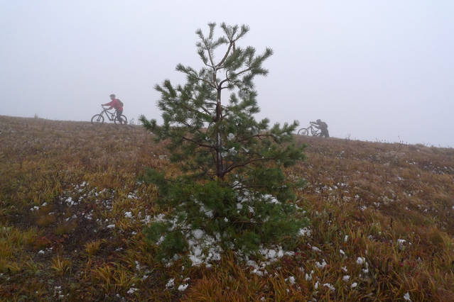 �������, ����� ���������� � ������ ������