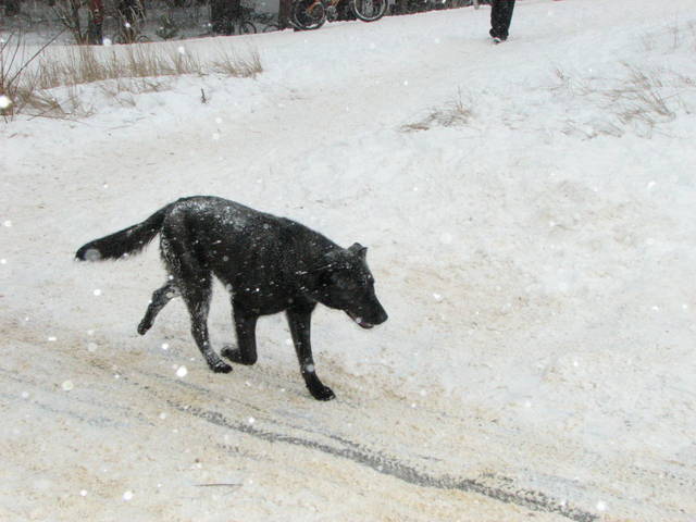 �������, ����� ���������� � ������ ������