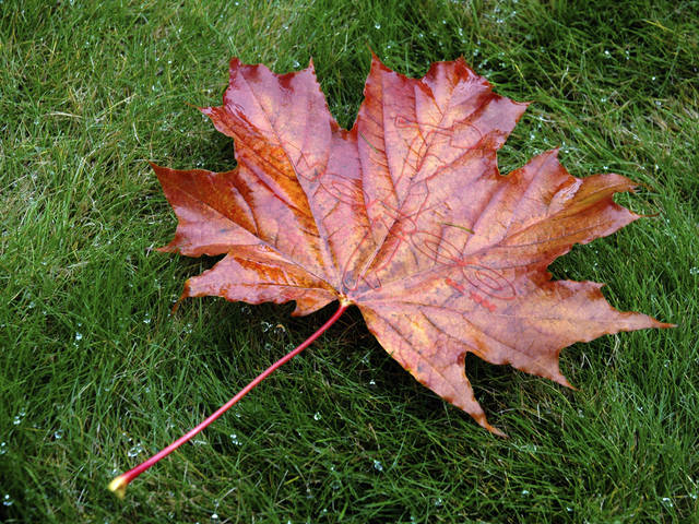 �������, ����� ���������� � ������ ������