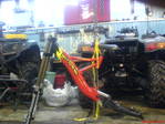 DSC00387.JPG