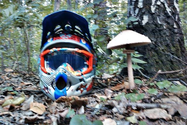 �������, ����� ���������� � ������ ������