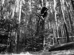 snapshot20090530171844.jpg