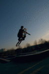 SG1S8747.gif