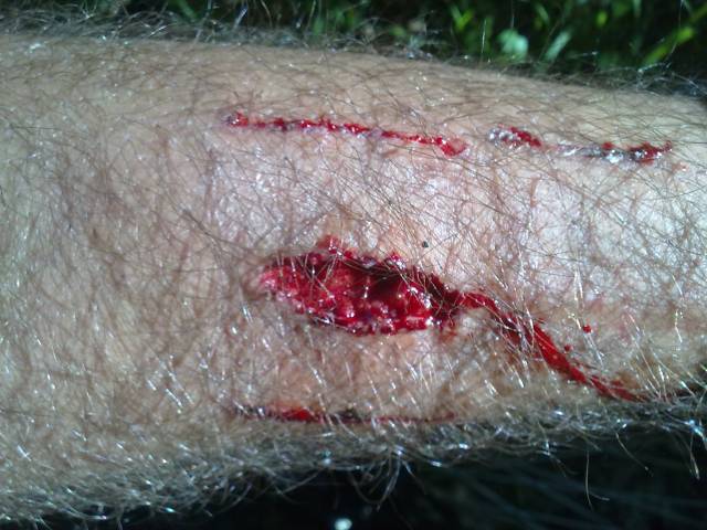 �������, ����� ���������� � ������ ������