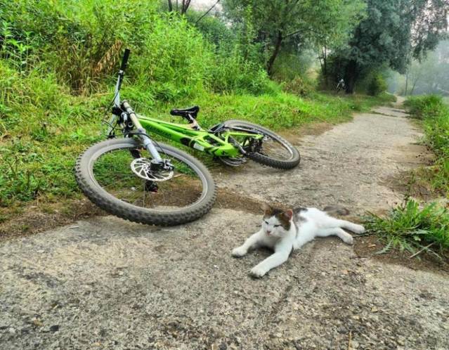 �������, ����� ���������� � ������ ������