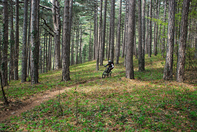 �������, ����� ���������� � ������ ������