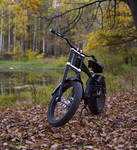 _MG_9416.jpg