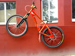 x_6849cdb4.jpg