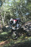 IMG_07870001.jpg
