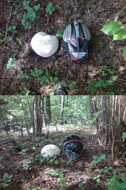 �������, ����� ���������� � ������ ������