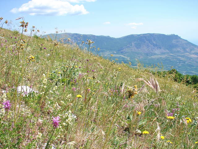 �������, ����� ���������� � ������ ������