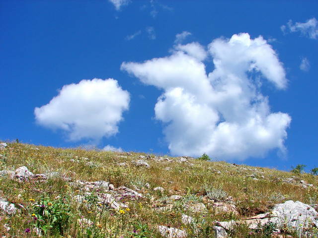 �������, ����� ���������� � ������ ������