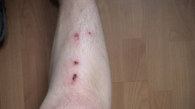 �������, ����� ���������� � ������ ������