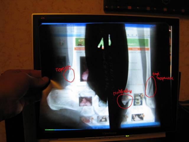 �������, ����� ���������� � ������ ������