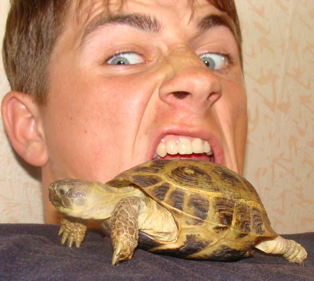 �������, ����� ���������� � ������ ������