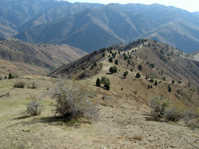 �������, ����� ���������� � ������ ������