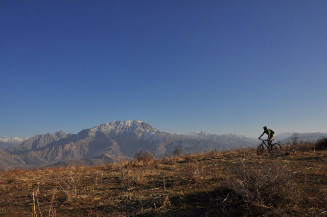 �������, ����� ���������� � ������ ������