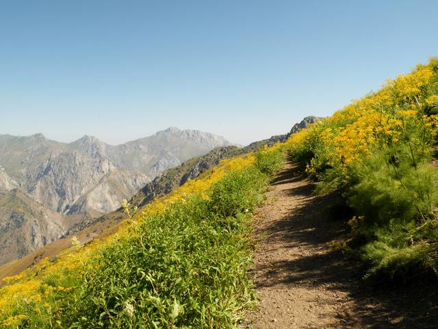 �������, ����� ���������� � ������ ������