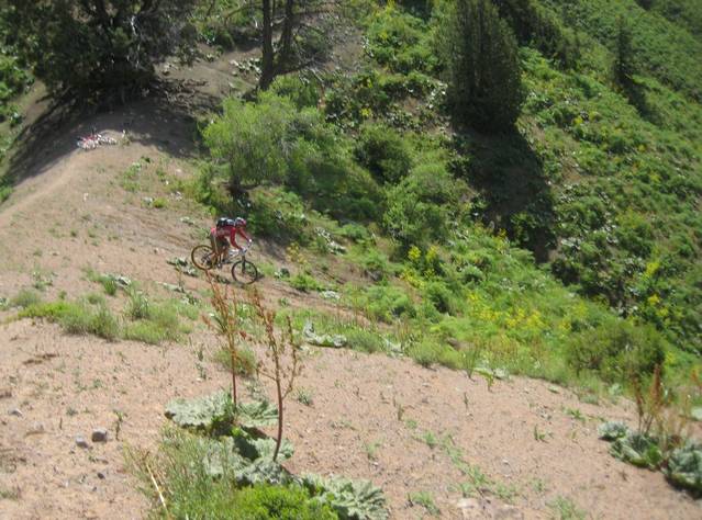 �������, ����� ���������� � ������ ������