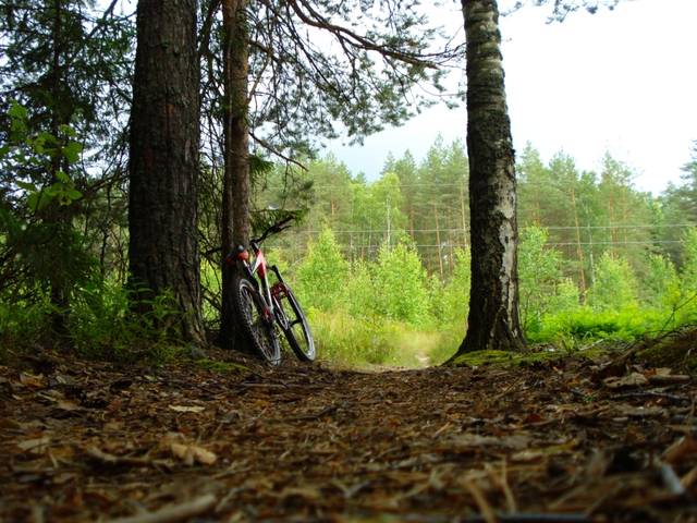 �������, ����� ���������� � ������ ������