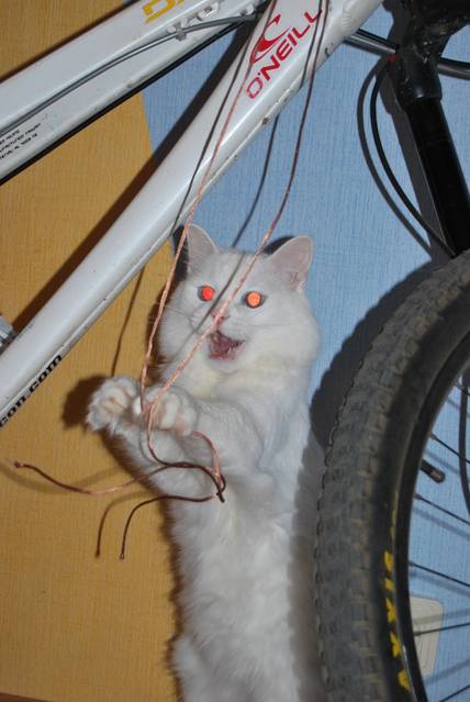 �������, ����� ���������� � ������ ������