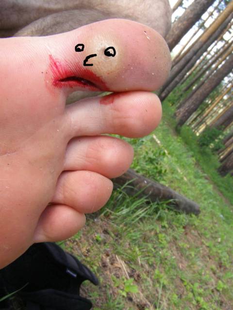 �������, ����� ���������� � ������ ������