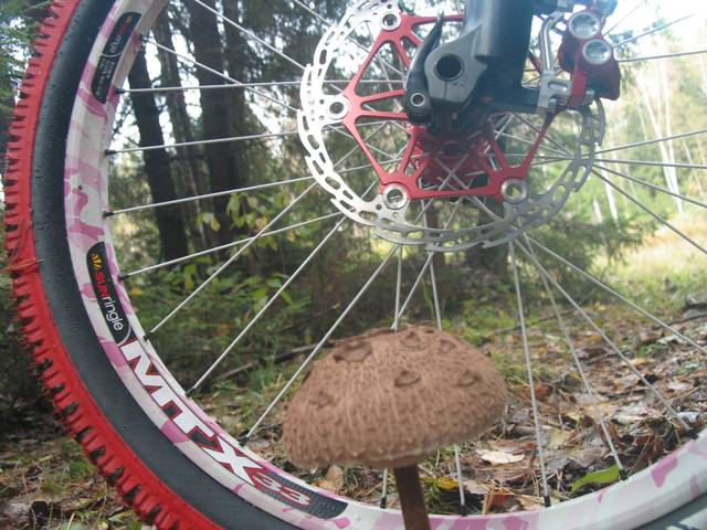 �������, ����� ���������� � ������ ������