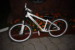 IMG_5104s.jpg