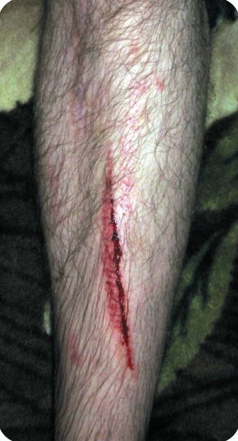 �������, ����� ���������� � ������ ������