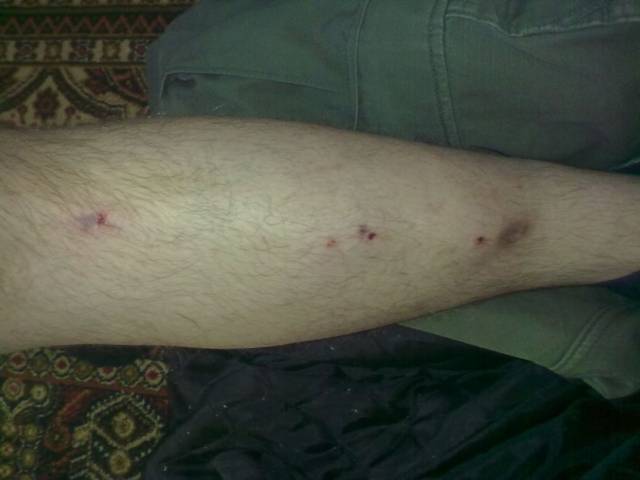 �������, ����� ���������� � ������ ������