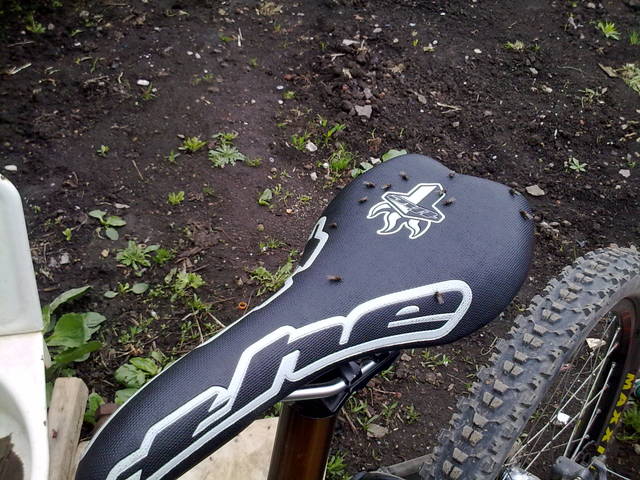 �������, ����� ���������� � ������ ������