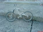 DSC01383.JPG