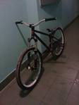 IMAG0216.jpg