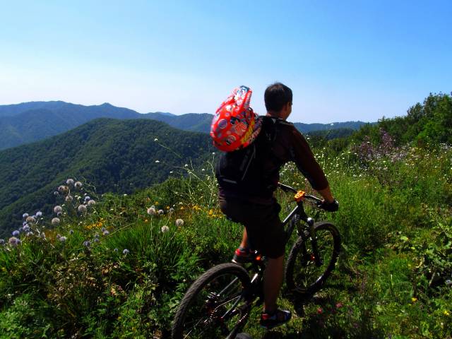 �������, ����� ���������� � ������ ������