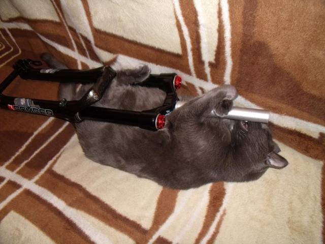 �������, ����� ���������� � ������ ������