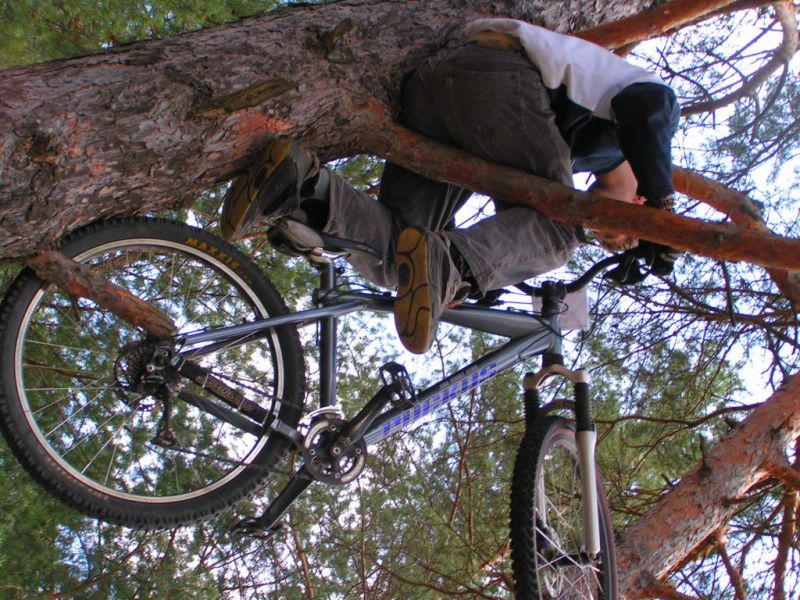 �������, ����� ���������� � ������ ������