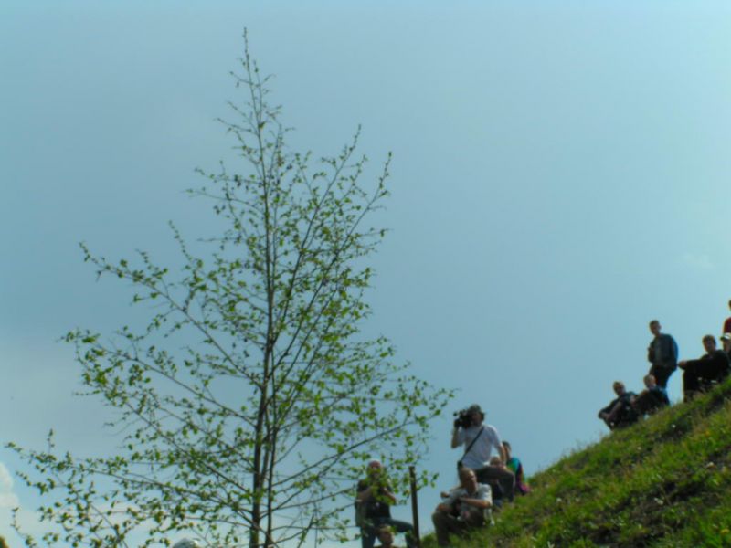 �������, ����� ���������� � ������ ������