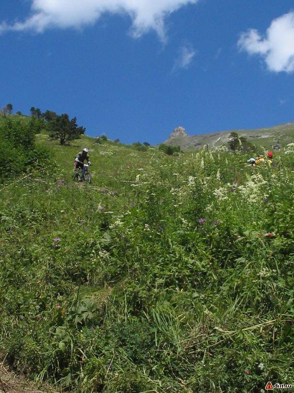 �������, ����� ���������� � ������ ������